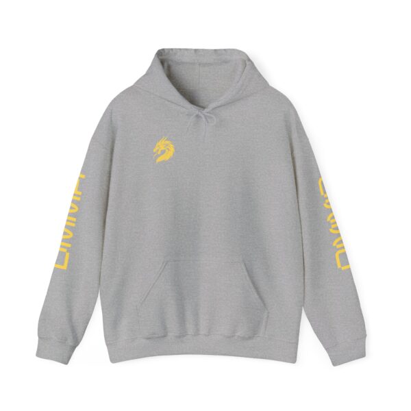 Unisex DMMA Heavy Blend™ Hooded Sweatshirt - Image 33