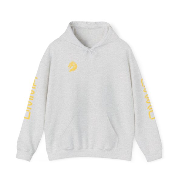 Unisex DMMA Heavy Blend™ Hooded Sweatshirt - Image 29