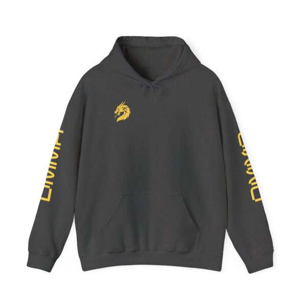 Unisex DMMA Heavy Blend™ Hooded Sweatshirt - Image 41
