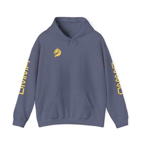 Unisex DMMA Heavy Blend™ Hooded Sweatshirt - Image 49