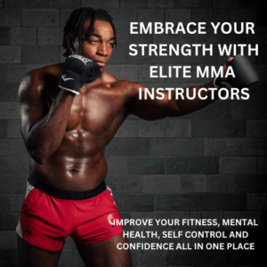 DMMA ADVANCE plan [mixed martial arts for beginners] [commission pay]